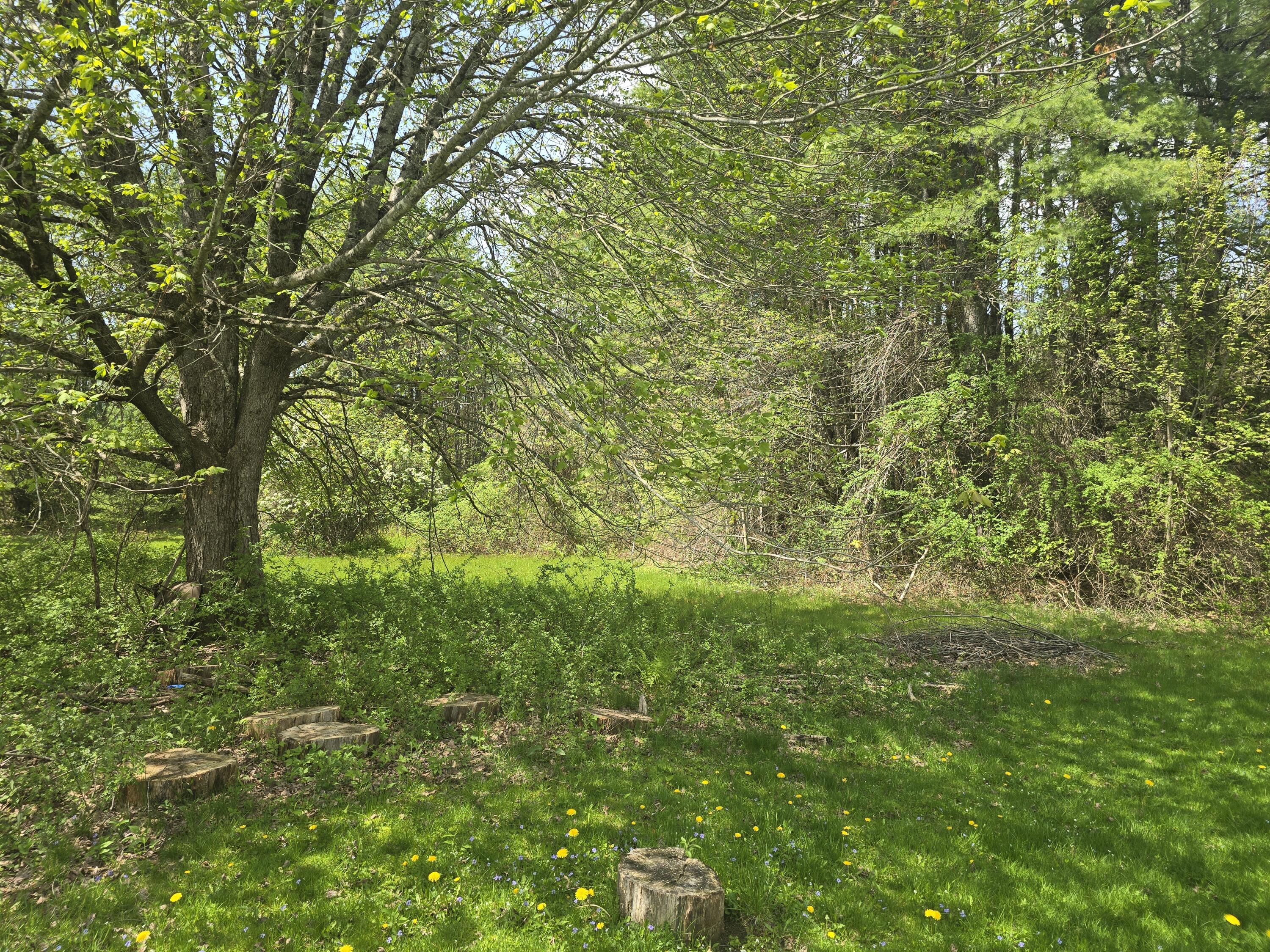 1152 West Alna Road Alna, ME 04535 - Photo 6 of 21 20260519_111325
