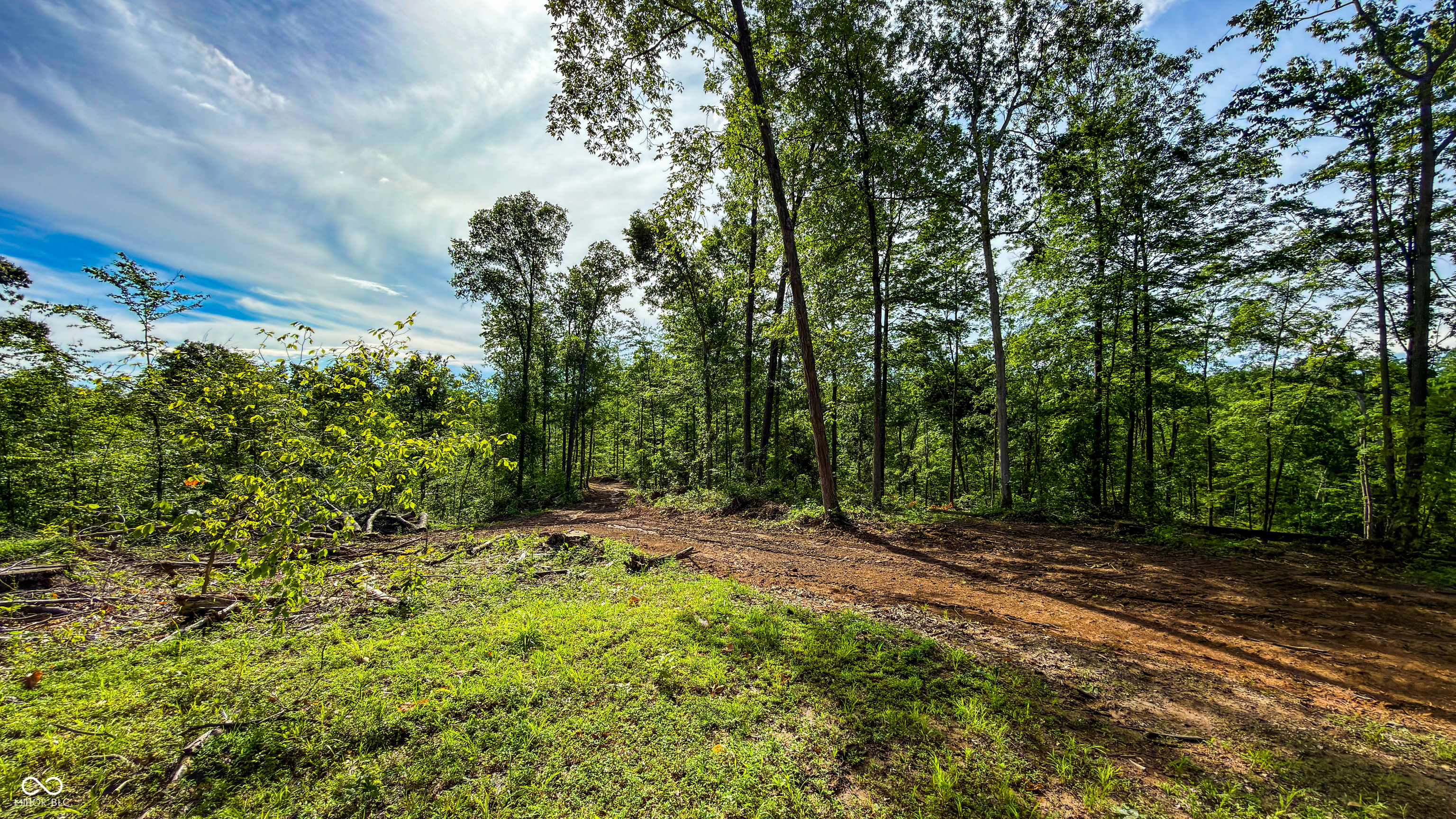 0 Beech Tree Road Nineveh, IN 46164 - Photo 45 of 81