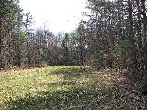 69-2 Bog Road Goffstown, NH 03045 - Photo 1 of 1