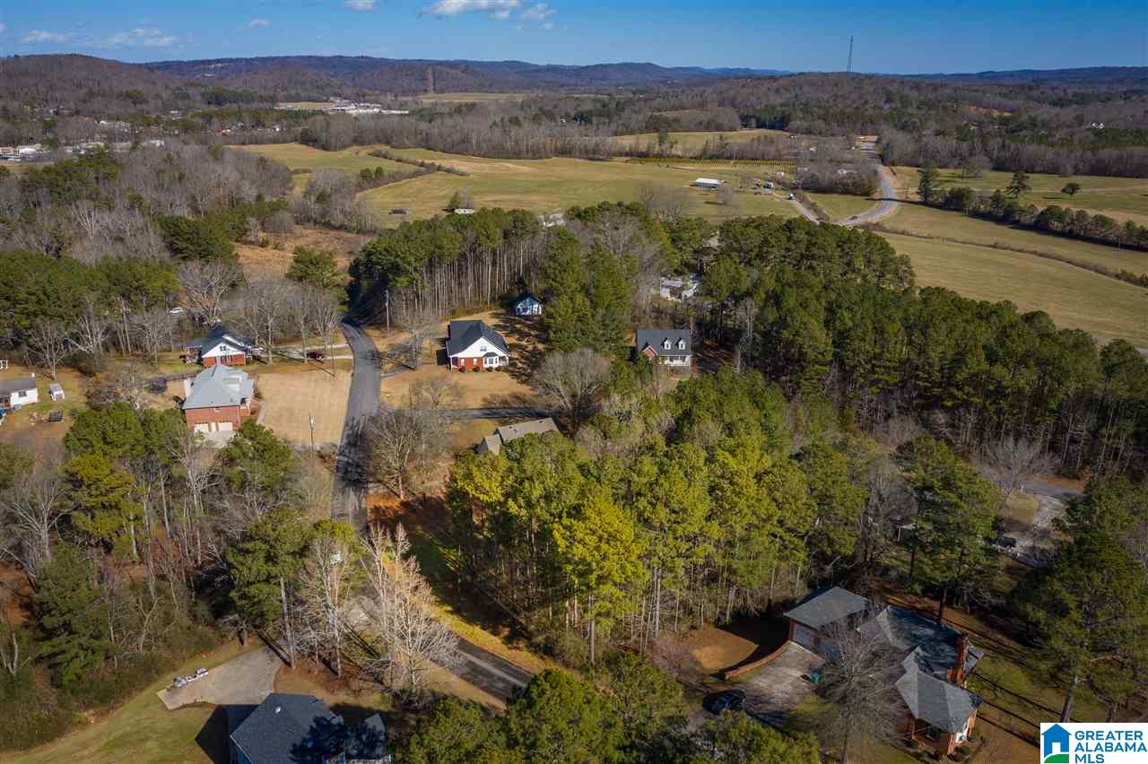 0 Scenic Trail, Unit 1 Oneonta, AL 35121 - Photo 10 of 18