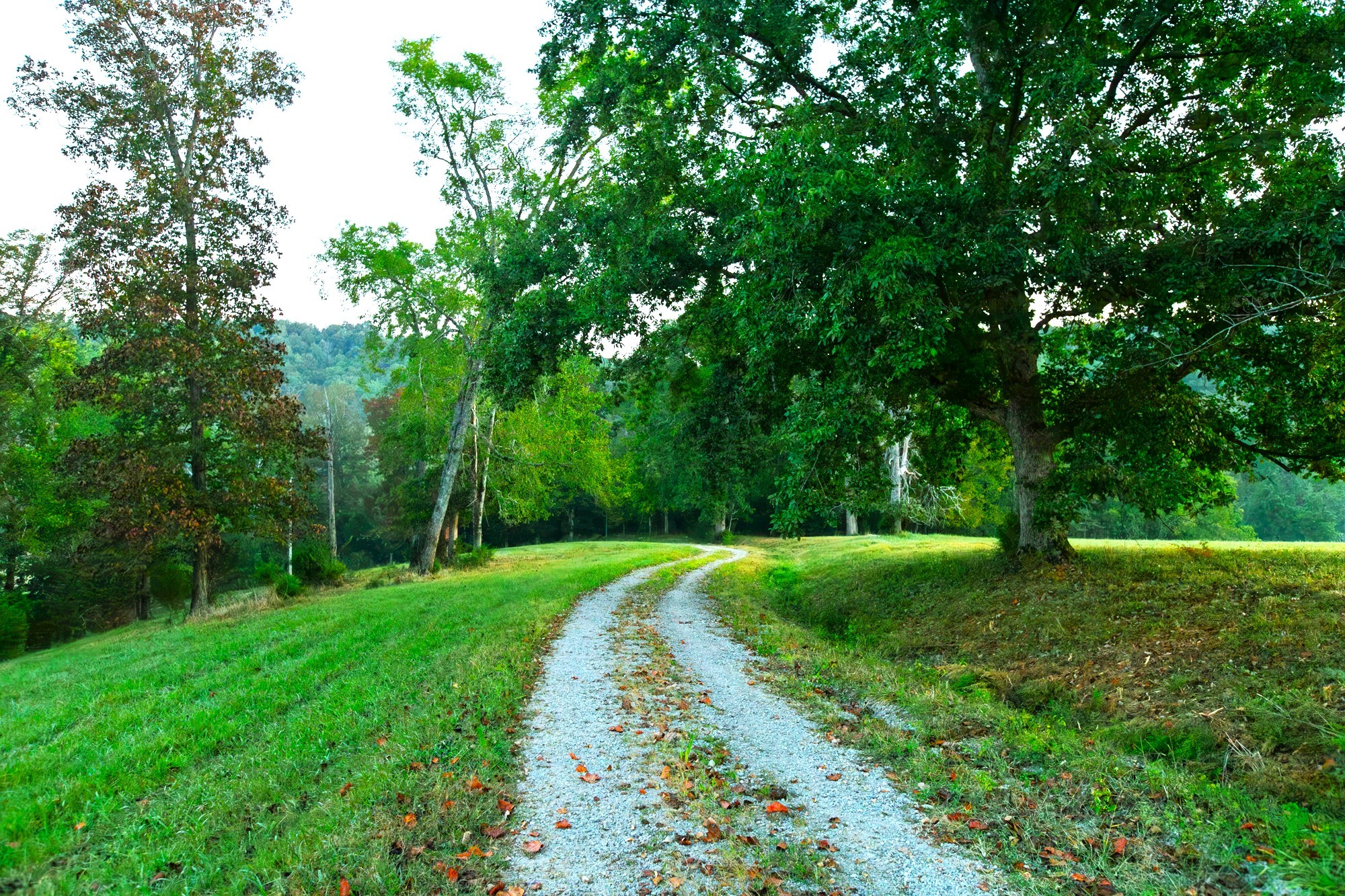 110 Wade Reed Road White Bluff, TN 37187 - Photo 14 of 94 Gallery Image 14