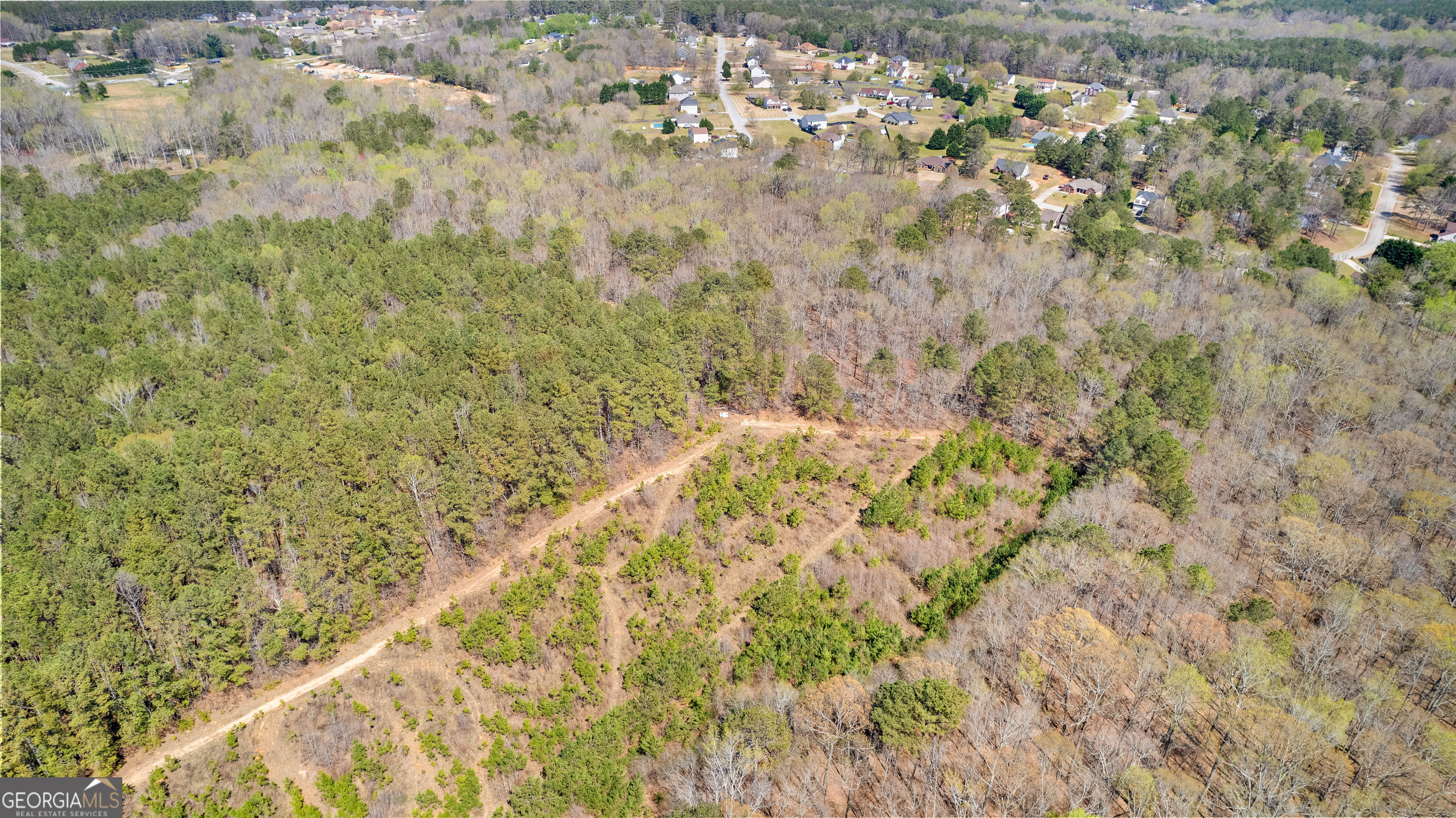 461 Old Jackson Road McDonough, GA 30252 - Photo 32 of 41 a view of a yard