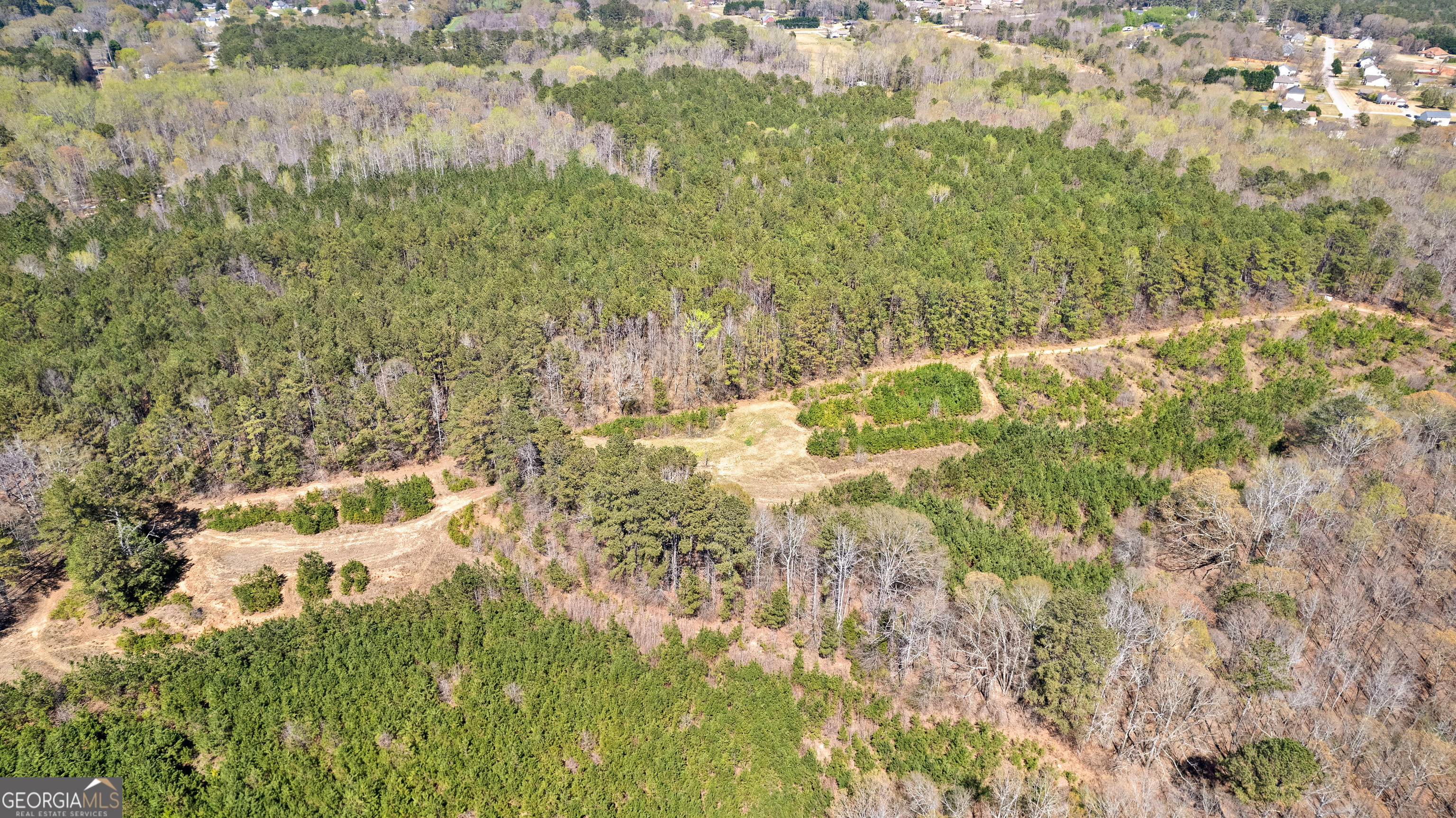 461 Old Jackson Road McDonough, GA 30252 - Photo 35 of 41 a backyard of a building with large trees