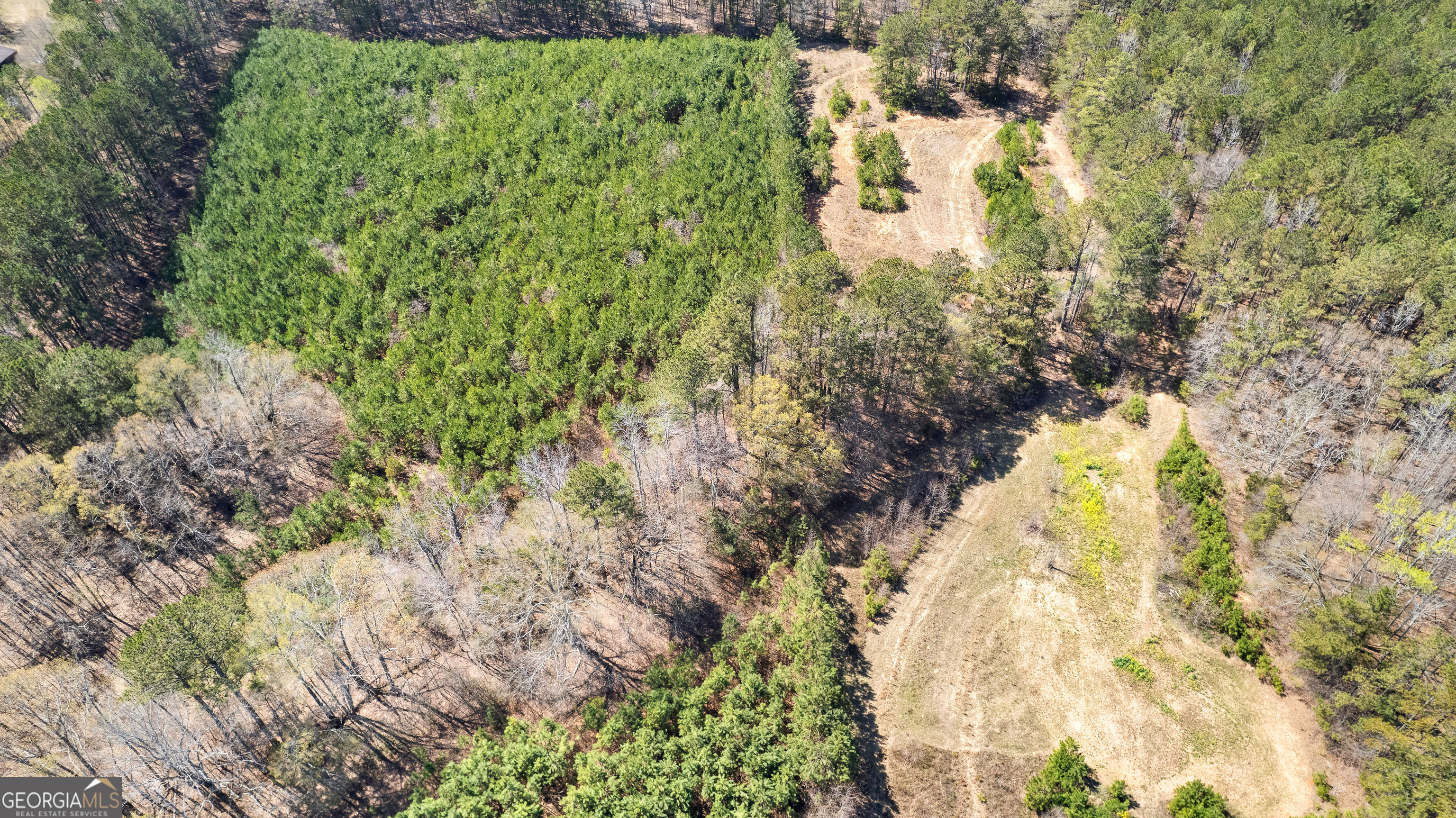 461 Old Jackson Road McDonough, GA 30252 - Photo 38 of 41 a view of a yard with plants