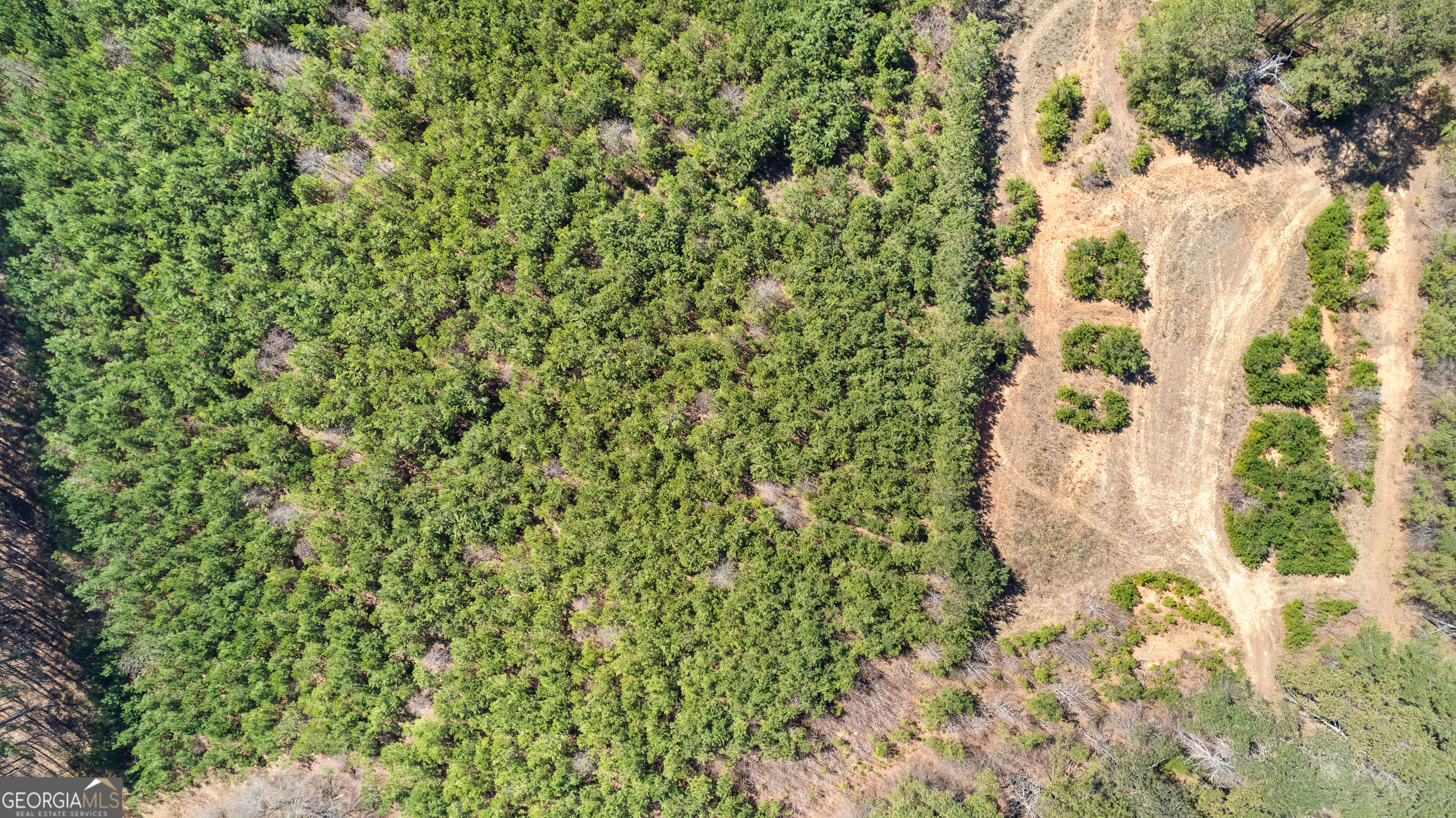461 Old Jackson Road McDonough, GA 30252 - Photo 40 of 41 a close up of a plant in a garden