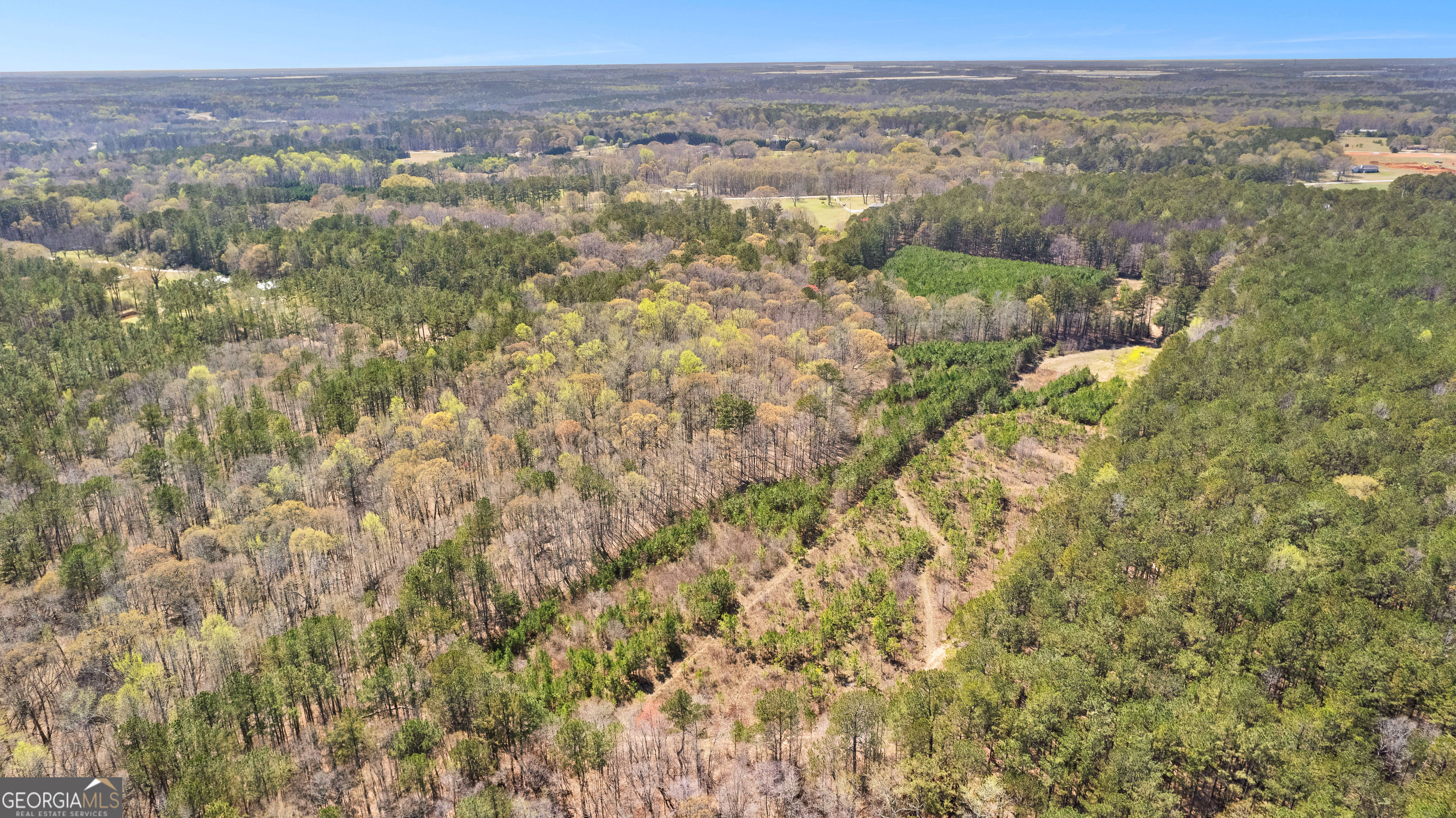 461 Old Jackson Road McDonough, GA 30252 - Photo 41 of 41 a view of city and mountain