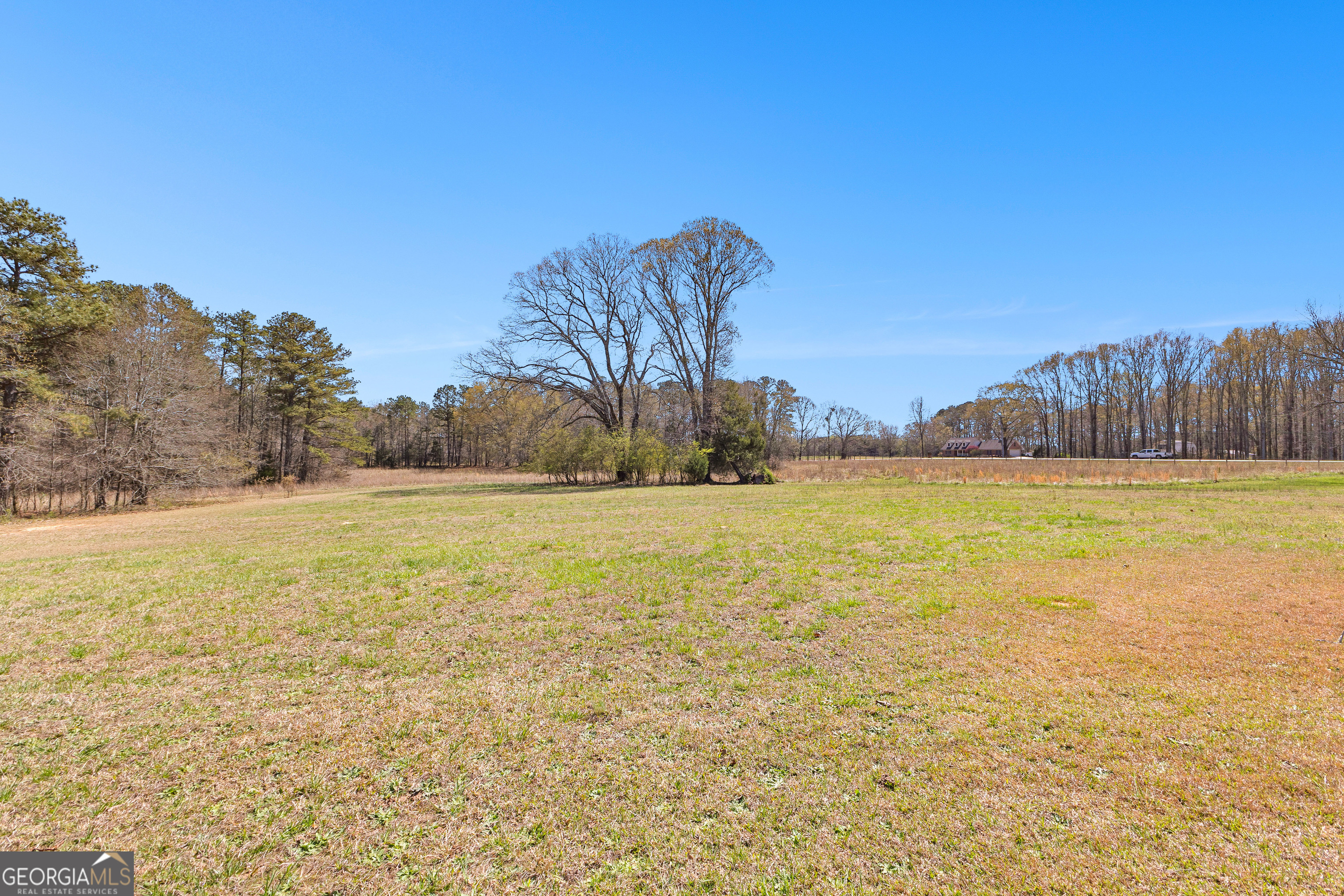 461 Old Jackson Road McDonough, GA 30252 - Photo 5 of 41 a view of yard with swimming pool and trees