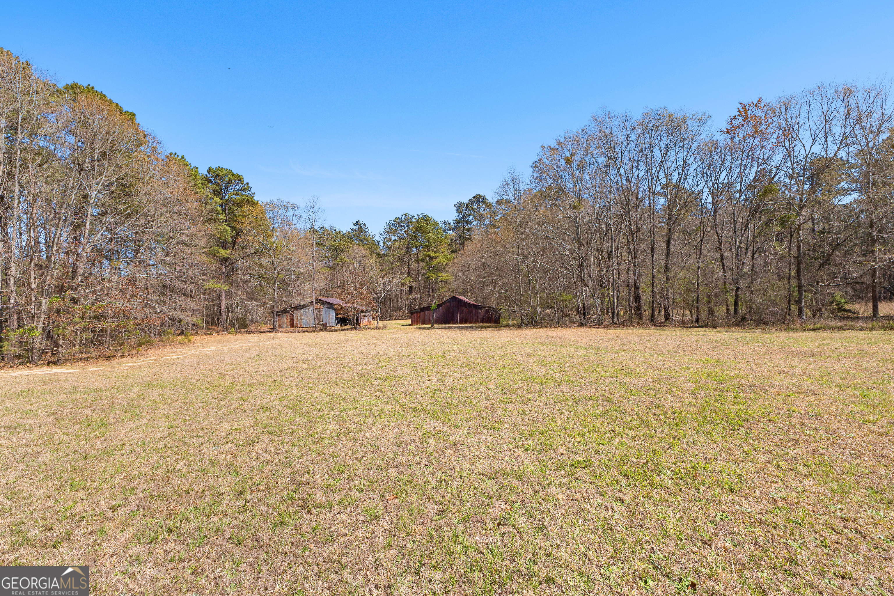 461 Old Jackson Road McDonough, GA 30252 - Photo 8 of 41 a view of large yard with trees in the background