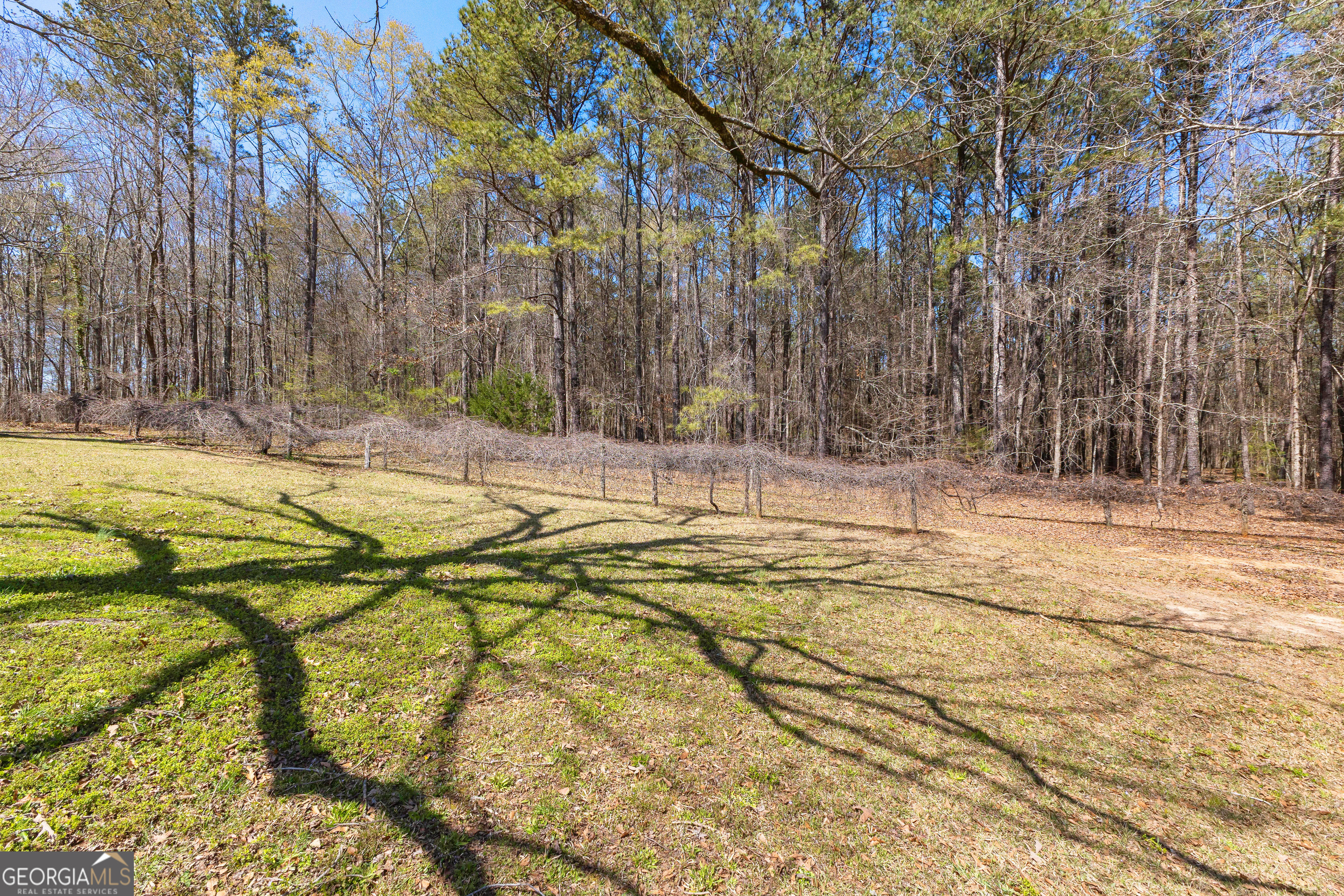 461 Old Jackson Road McDonough, GA 30252 - Photo 9 of 41 a view of swimming pool with a yard and trees