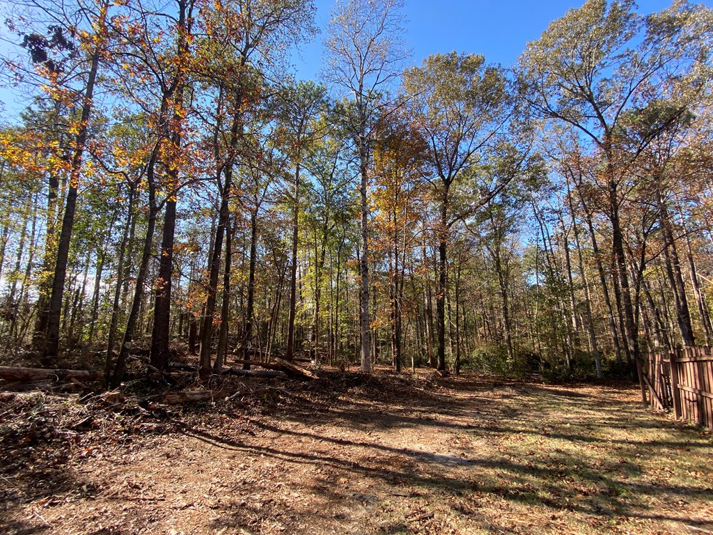 951 Fox Ridge Road Eufaula, AL 36027 - Photo 27 of 29