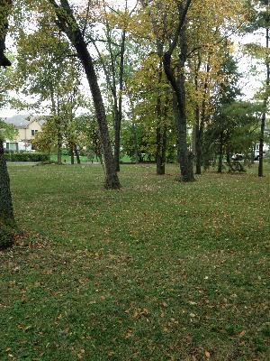91 Maple Avenue Burr Ridge, IL 60527 - Photo 2 of 5 a view of a lush green space