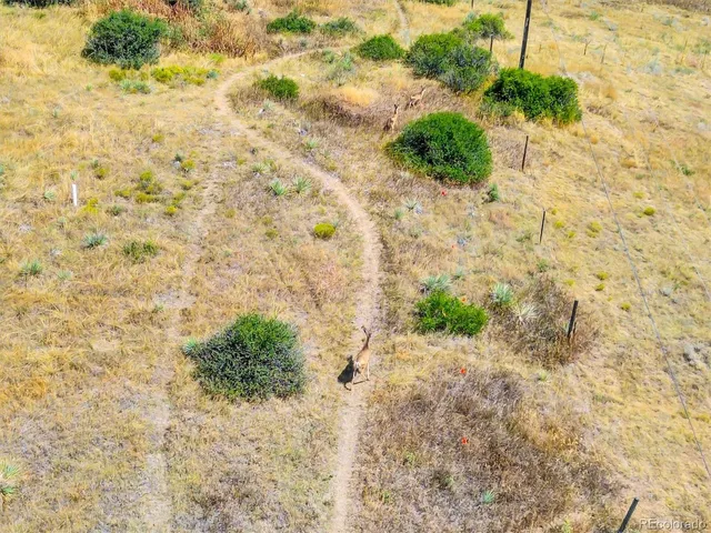 $750,000 | 11340 Deer Lane, Parker, CO 80138