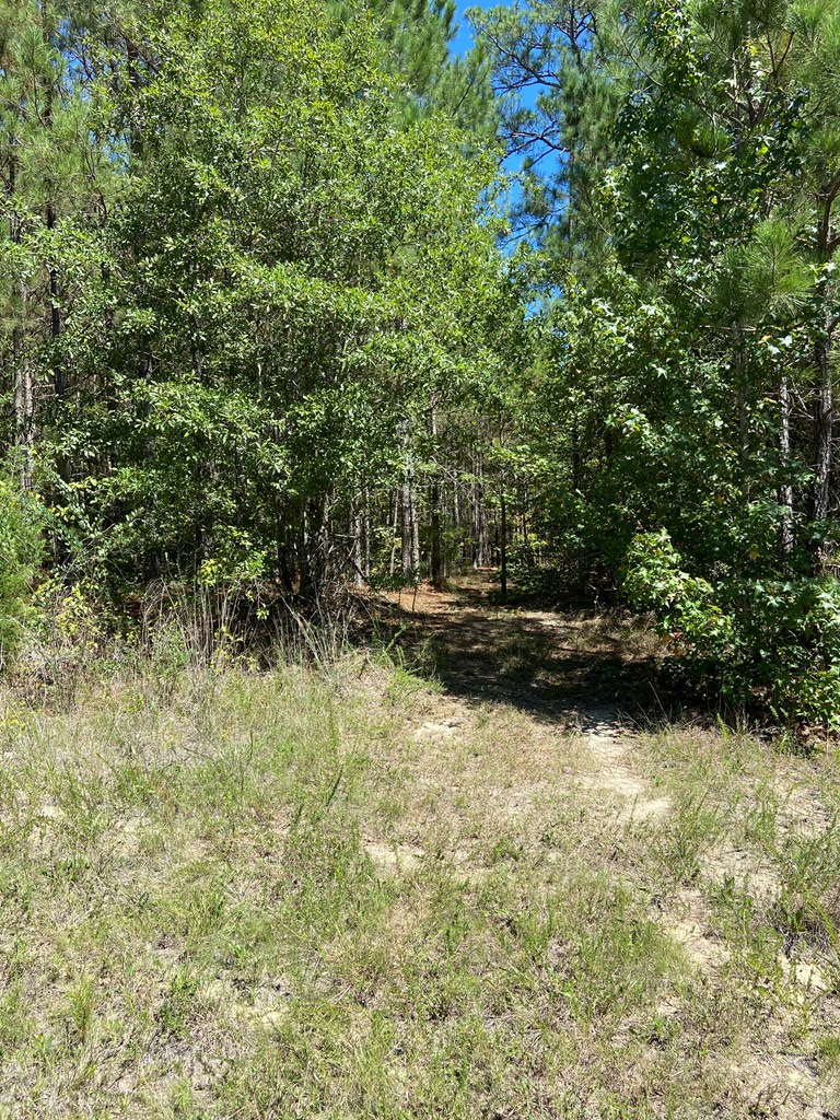 250 Belcher Road Hodges, SC 29653 - Photo 7 of 9