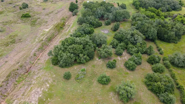 a view of a forest with a yard