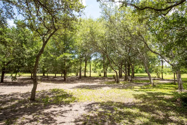 a view of yard with trees