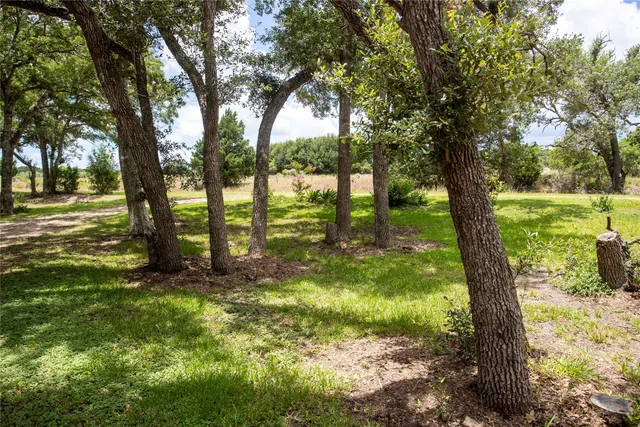 a view of a trees with yard