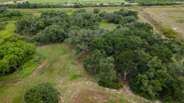 a view of a lush green forest with lots of trees