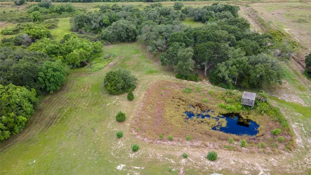 a view of a garden with plants