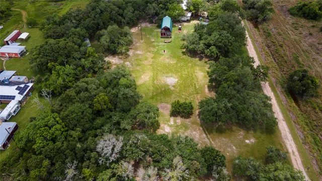 a view of a yard with plants