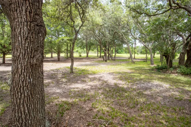 a view of yard with tree