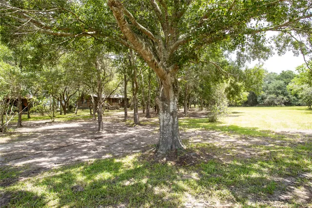 a view of a yard with trees