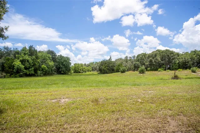a view of a green field with lots of green space