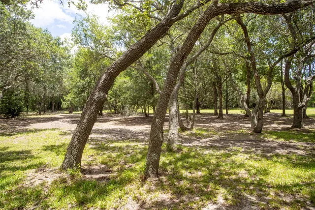 a view of a yard with trees
