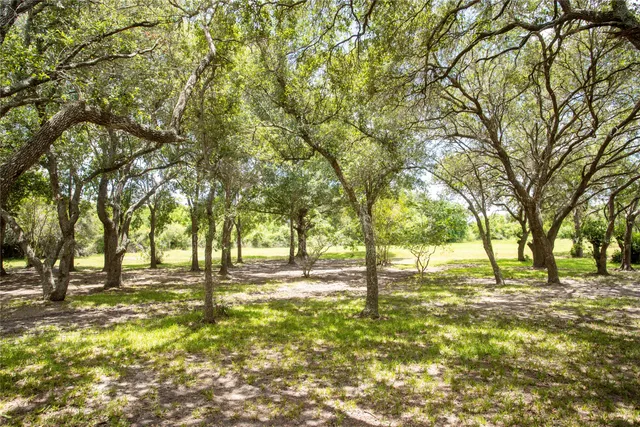 a view of yard with trees