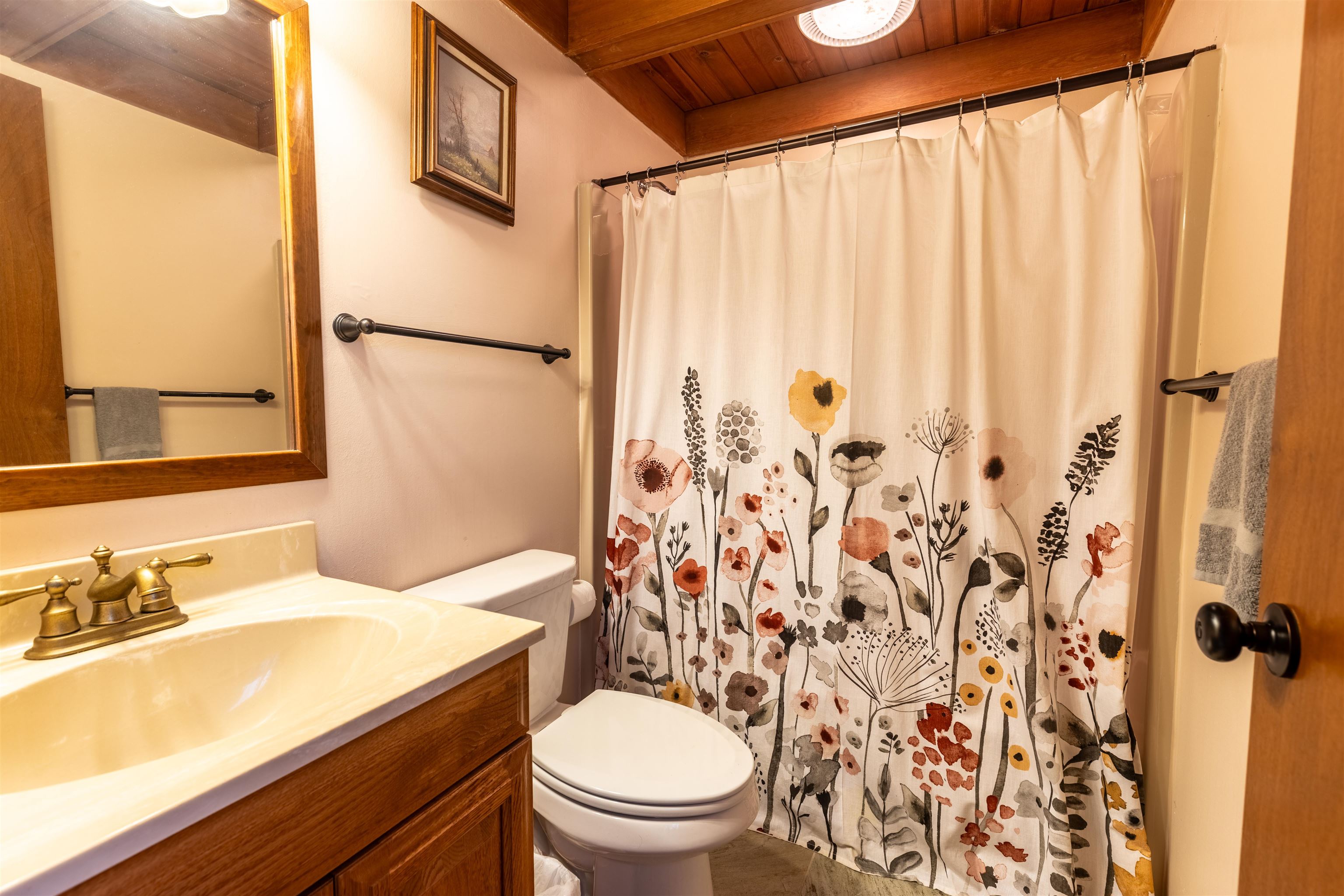 14 Timberon Trail Galena, IL 61036 - Photo 19 of 31 a bathroom with a sink toilet and shower
