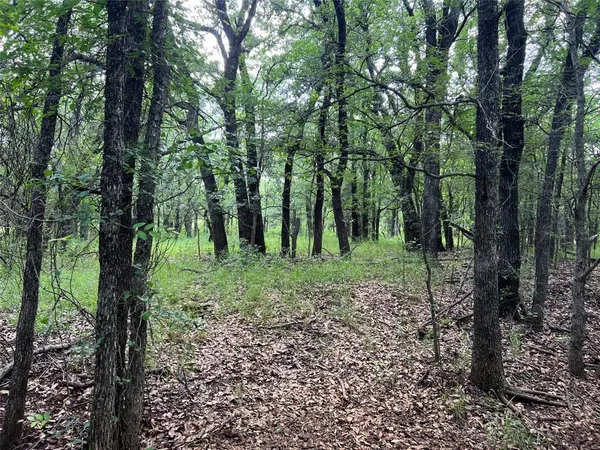 $362,000 | 137 County Road 137 Road, Cisco, TX 76437
