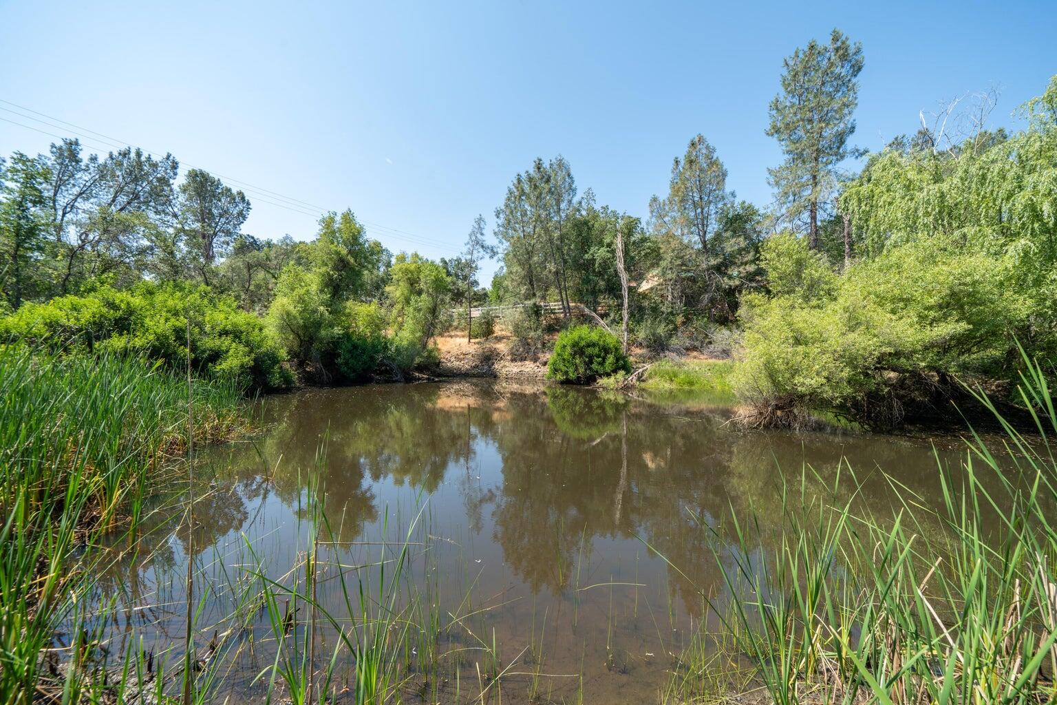 8846 Goldstone Lane Redding, CA 96001 - Photo 58 of 64 20250610222447122697000000-o