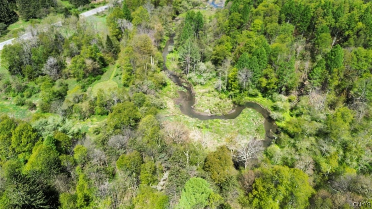 1720 County Route 12 De Ruyter, NY 13052 - Photo 47 of 49