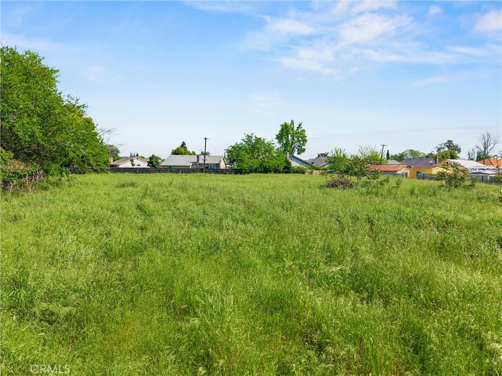 7521 Power Inn Road Sacramento, CA 95828 - Photo 27 of 27 a view of a field with plants and trees