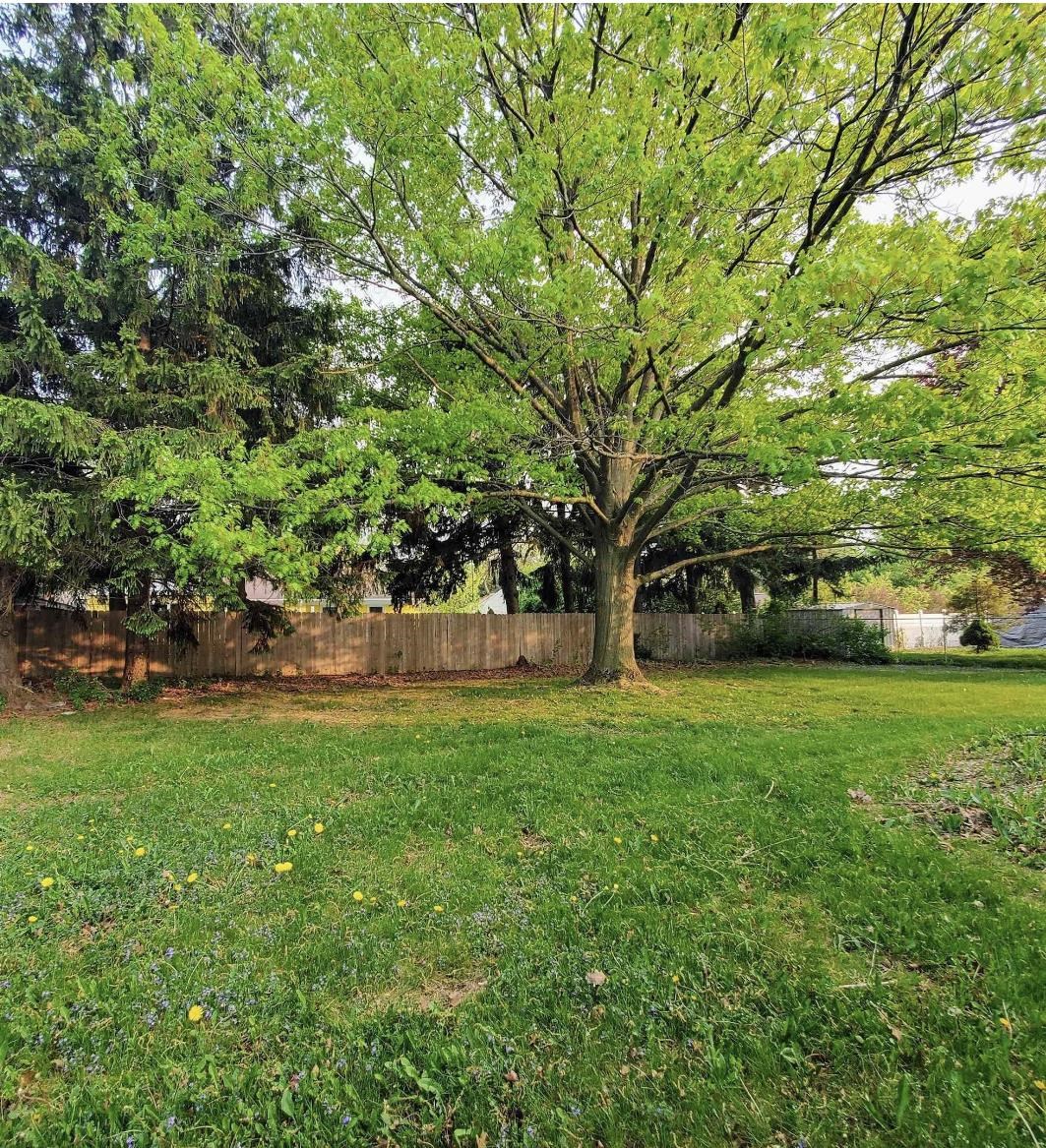 3517 Miller Road Flint, MI 48503 - Photo 5 of 28 50116082-4.JPG