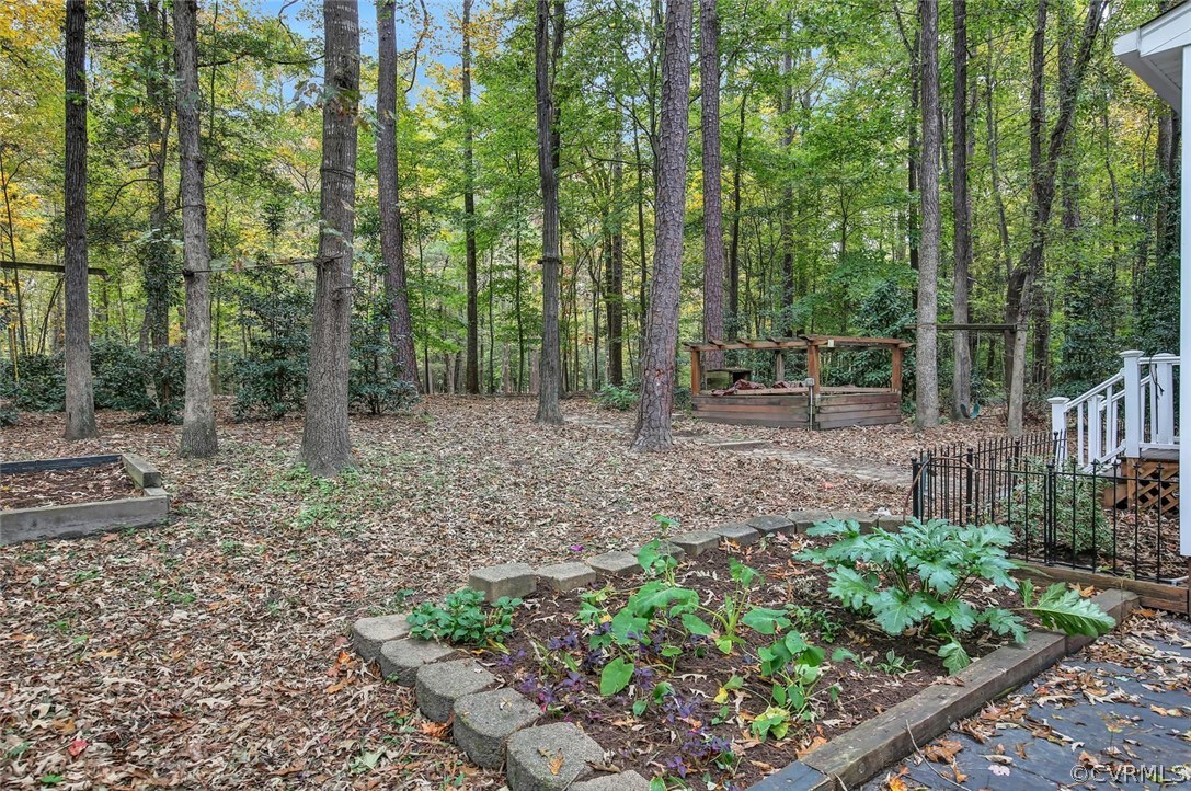 13208 Court Ridge Road Midlothian, VA 23112 - Photo 23 of 25