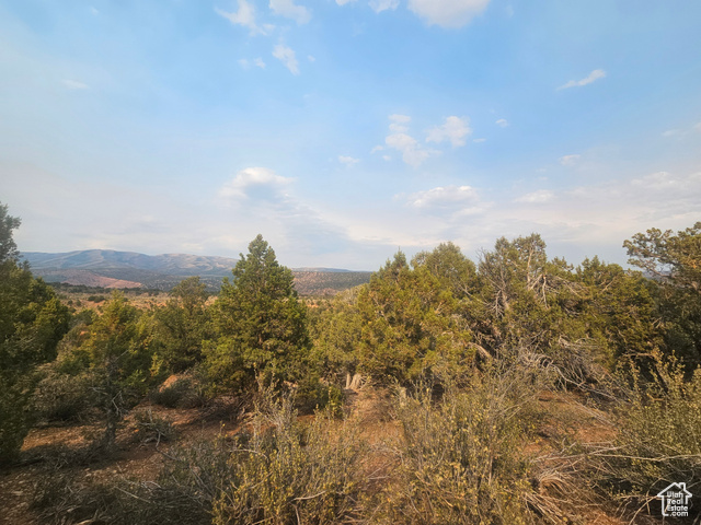 915 South Stagecoach Road, Unit 8 Fruitland, UT 84027 - Photo 26 of 40 Beautiful Property Views - Nice Large Trees!