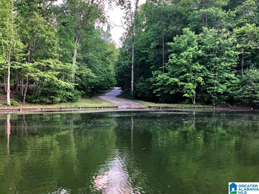 Wild Turkey Lane, Unit 23 Wedowee, AL 36278 - Photo 4 of 4