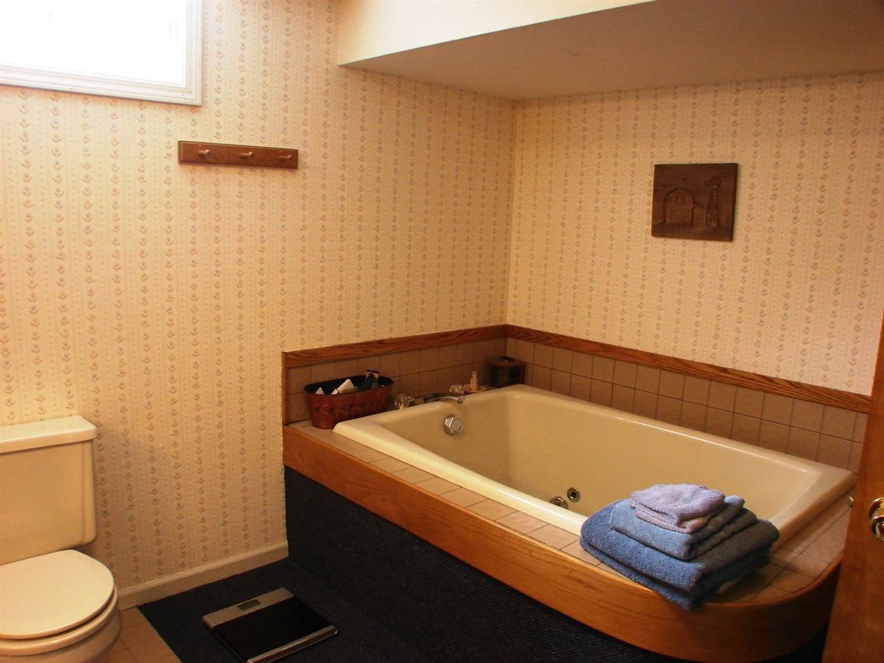 917 West Center Street Ithaca, MI 48847 - Photo 35 of 84 1817007-35.JPG