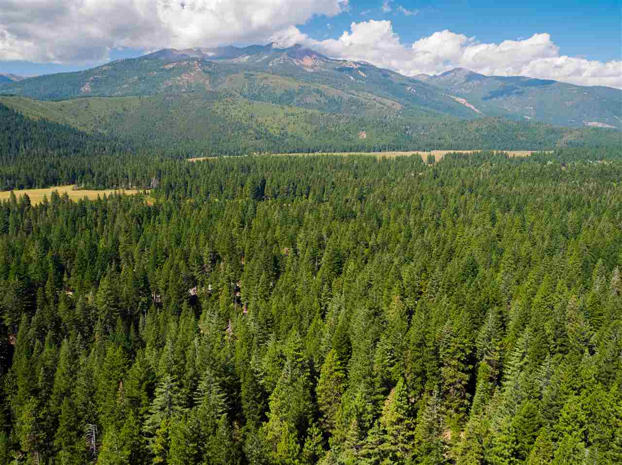 Off Summit Mount Shasta, CA 96067 - Photo 4 of 12 Gallery Image 4