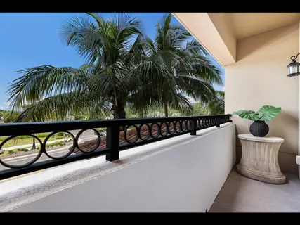 a view of a palm trees front of a house with a yard
