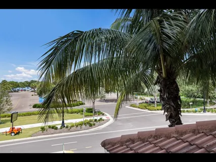 a view of street with trees