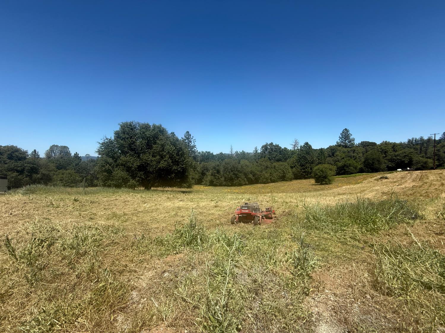 2322 Myrick Road Somerset, CA 95684 - Photo 7 of 30 a view of lake with green space