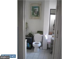 528 Reed Street Philadelphia, PA 19147 - Photo 10 of 12 Bathroom