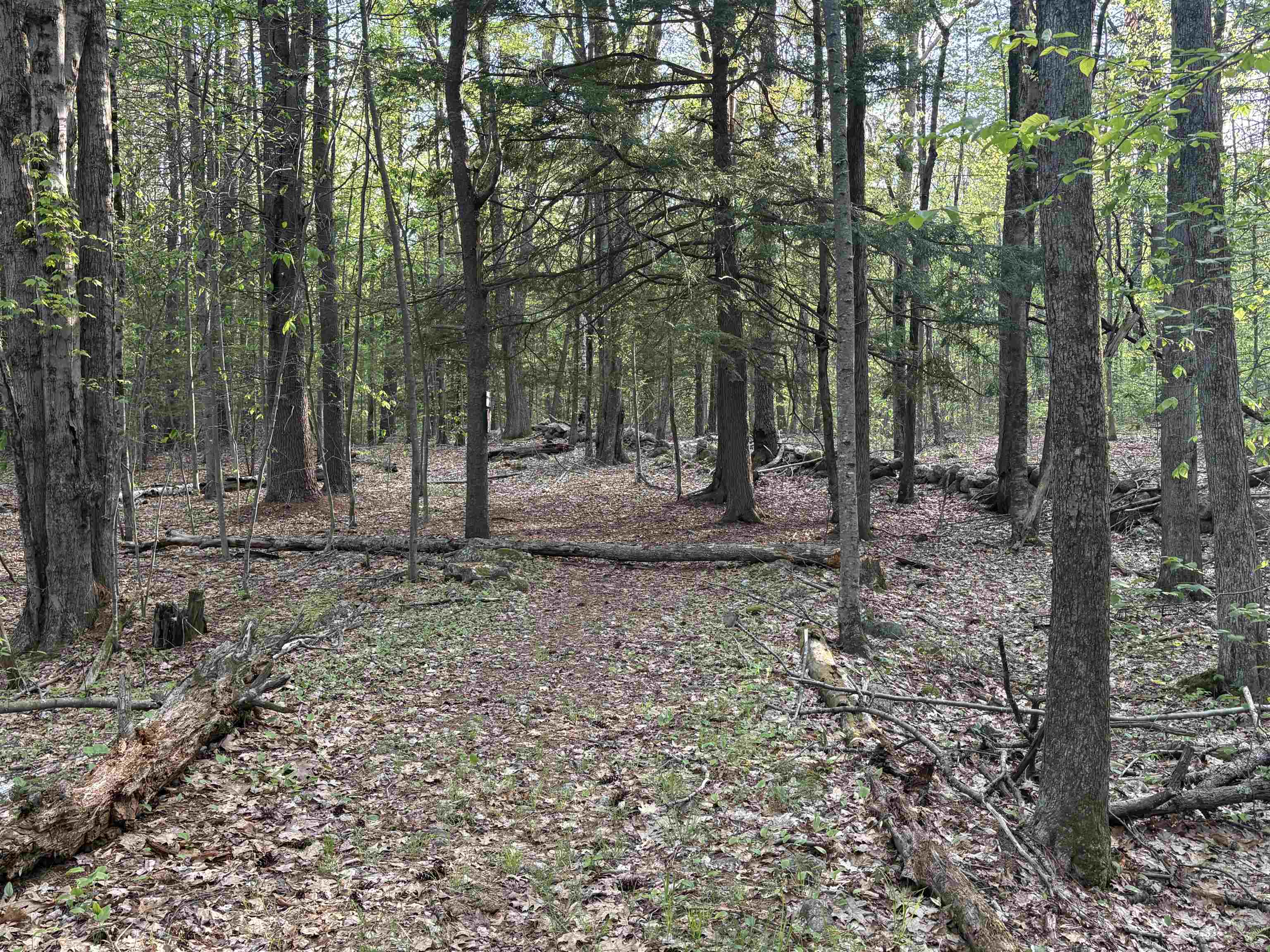 Lot 80 Currier Road Candia, NH 03034 - Photo 17 of 22 Gallery Image 17
