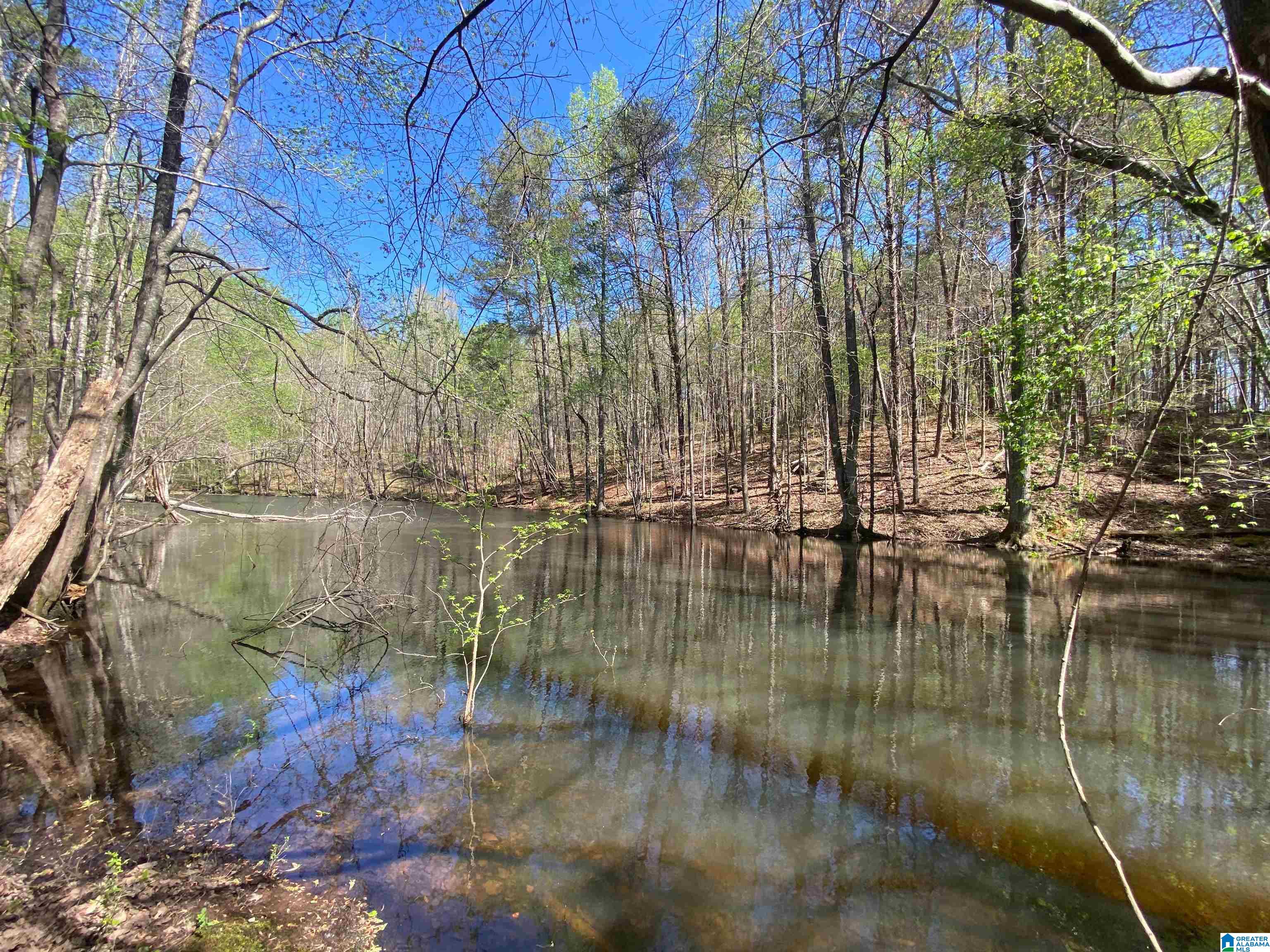 2590 Levine Road Odenville, AL 35120 - Photo 25 of 33