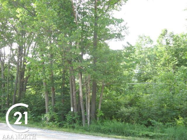 0 Hough Road Dryden, MI 48428 - Photo 2 of 6