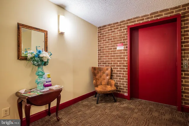 a view of a potted plant in a room