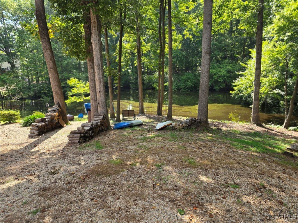 12906 Silver Crest Road Chester, VA 23831 - Photo 8 of 45 Back yard