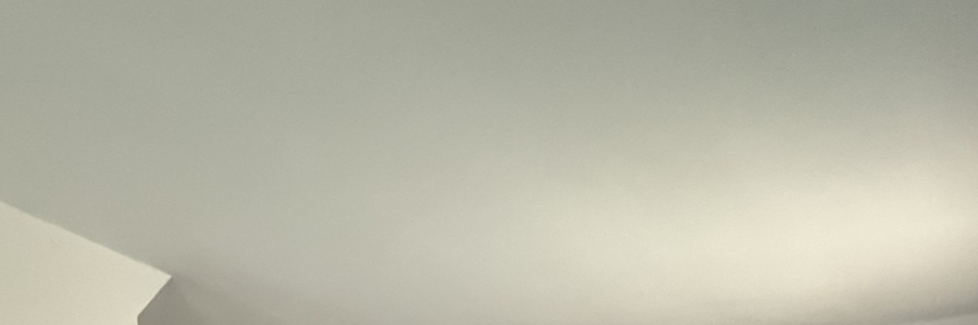 617 Meadow Drive Glenview, IL 60025 - Photo 13 of 16 close up of a white marble wall