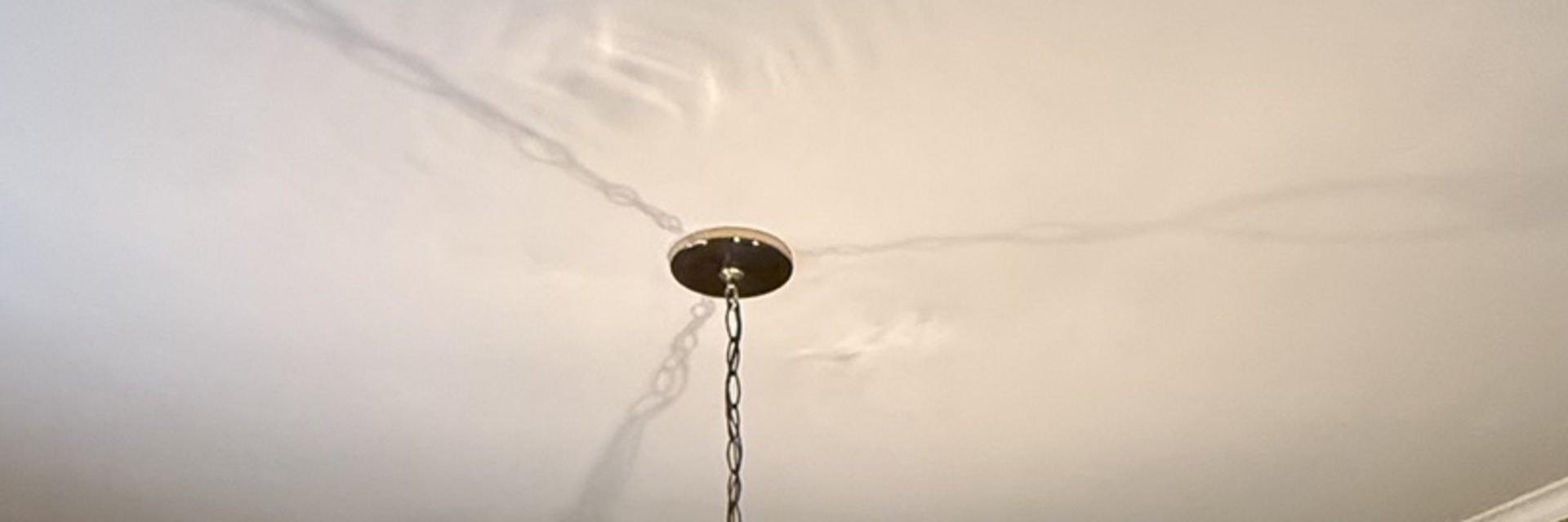 617 Meadow Drive Glenview, IL 60025 - Photo 4 of 16 a view of a hallway with a potted plant
